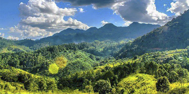 Chiquimula